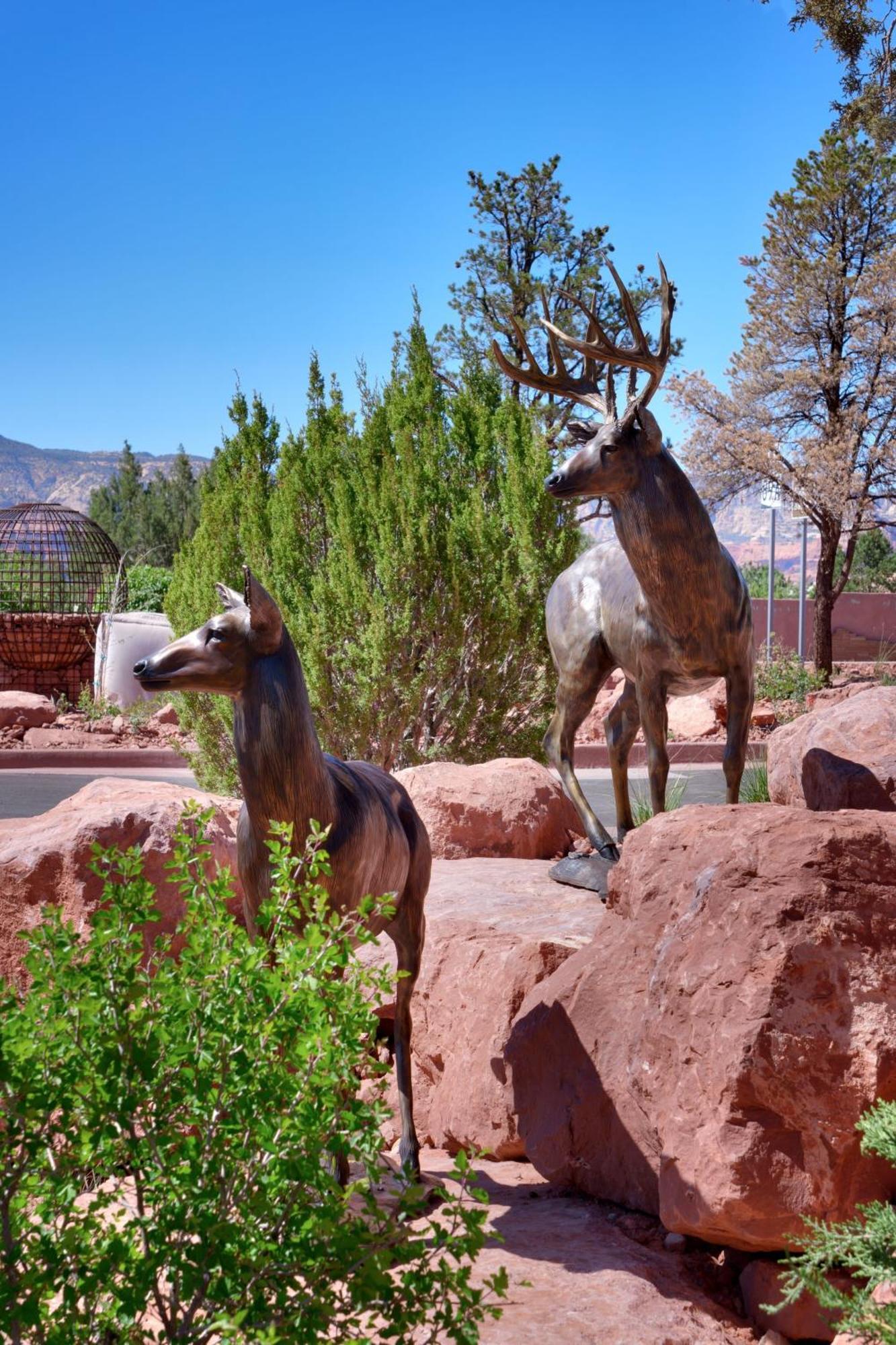 Residence Inn By Marriott Sedona Bagian luar foto