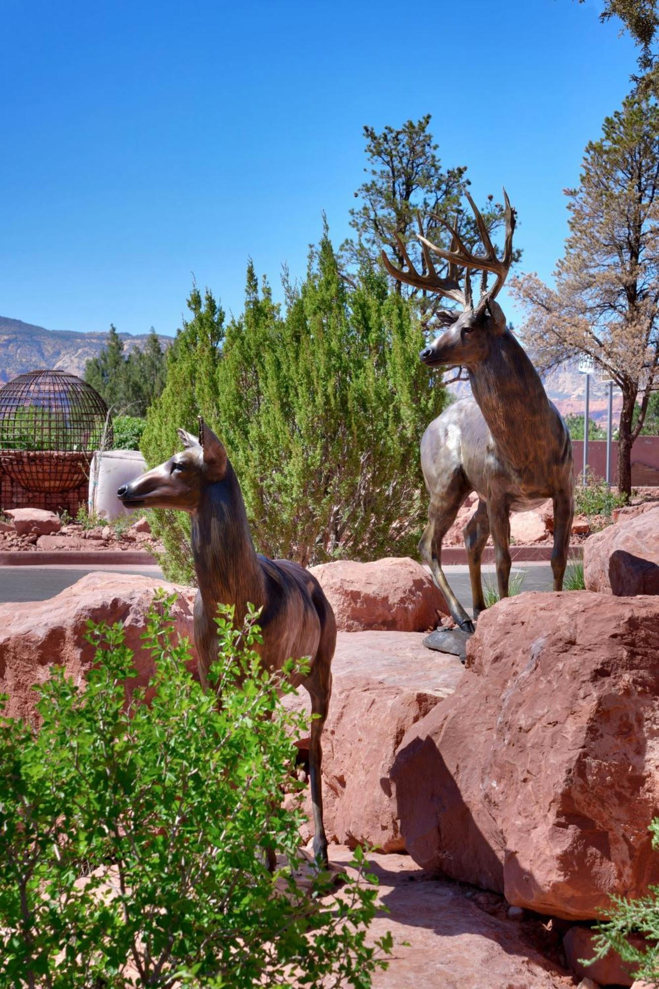 Residence Inn By Marriott Sedona Bagian luar foto